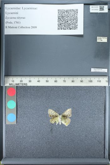 Media type: image;   Entomology 154563
